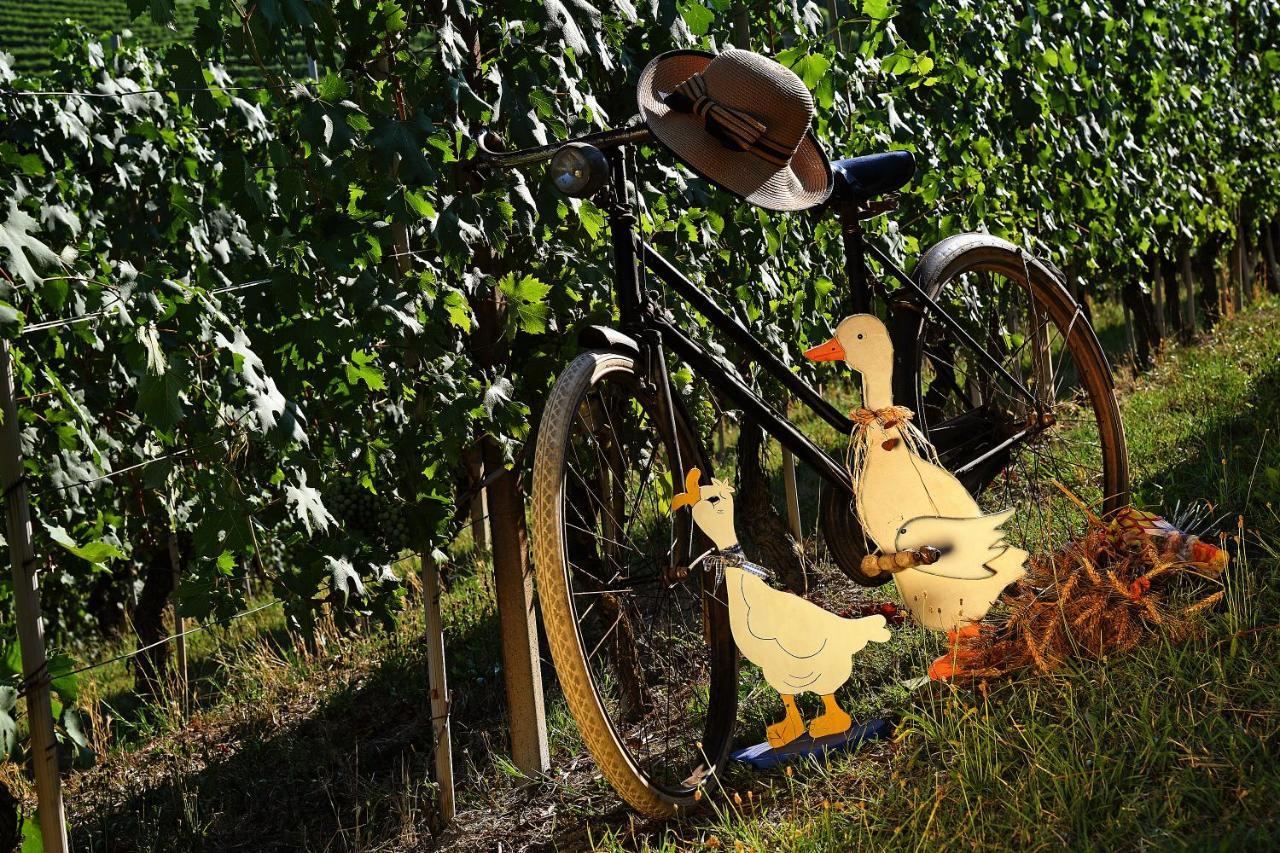 Agriturismo Il Gioco Dell'Oca บาโรโล ภายนอก รูปภาพ