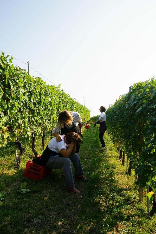 Agriturismo Il Gioco Dell'Oca บาโรโล ภายนอก รูปภาพ