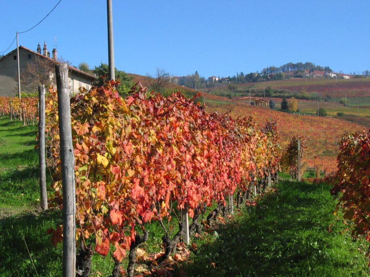 Agriturismo Il Gioco Dell'Oca บาโรโล ภายนอก รูปภาพ